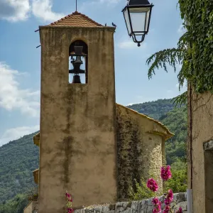 Hollyhocks flowers blooming in Provence region of Southern France