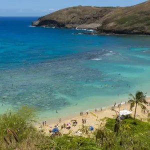 Hanauma Bay Reef Print from Above Hanauma Bay Reef Print from Above