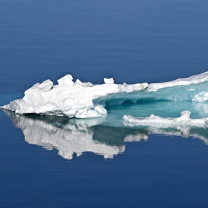 Ice floe Greenland Sea East Coast of Greenland