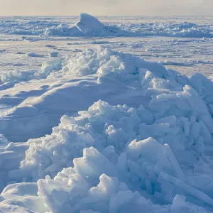 Ice floes at shore of frozen Disko Bay during winter, West Greenland, Denmark Ice floes at shore of frozen Disko Bay during winter, West Greenland, Denmark