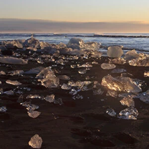 Iceberg nuggets shine like diamants at sunrise. Beach at Jokulsarlon, Iceland
