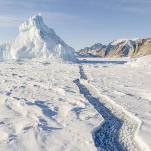 Icebergs in front of Appat Island, frozen into the sea ice of the Uummannaq fjord system Icebergs in front of Appat Island, frozen into the sea ice of the Uummannaq fjord system