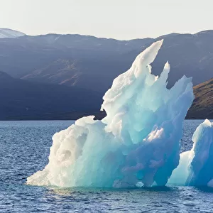 Icebergs drifting in the fjords of southern greenland. America, North America, Greenland