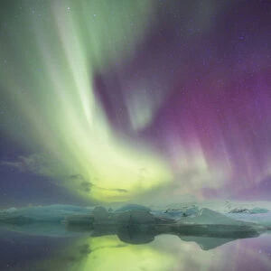 Iceland, Jokulsarlon. Aurora lights reflect in lagoon