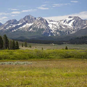 ID, Sawtooth National Recreation Area, Meadow and Sawtooth Mountains