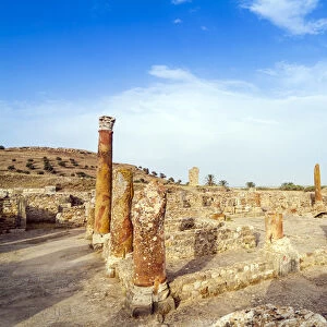 Interior garden of House Of Hunt, Bulla Regia Archaeological Site, Tunisia, North Africa