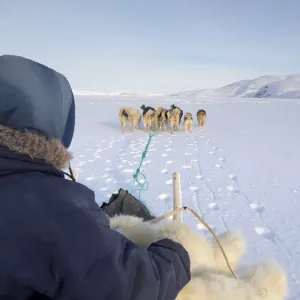 Inuit hunter on dog sled, wearing traditional trousers and boots made from polar bear fur Inuit hunter on dog sled, wearing traditional trousers and boots made from polar bear fur