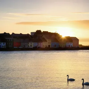 Ireland, Claddagh. Sunrise on town and swans on Galway Bay