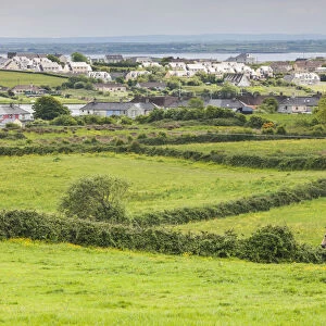 Ireland, County Clare, Killrush, landscape with horses