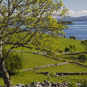 Ireland, County Galway, Cong, elevated springtime landscape