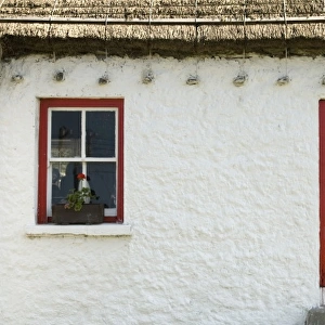 Ireland, Gleann Cholm Chille. Details of a thatched-roof cottage with a red door