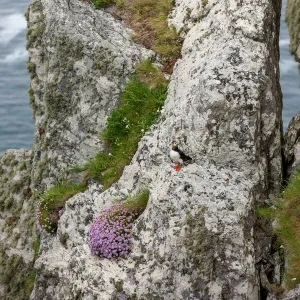 Ireland. Skellig Michael Island. European Westernmost Point. UNESCO World Heritage