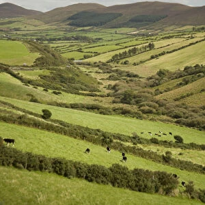 Irish Countryside, Ireland, Farms, Landscape, Scenic, Fences