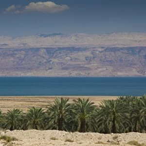 Israel, Dead Sea, Metzoke Dragot, Dead Sea and Palm Grove