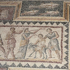 Israel, Lower Galilee, floor mosaic from the mishnaic period at Zippori National Park