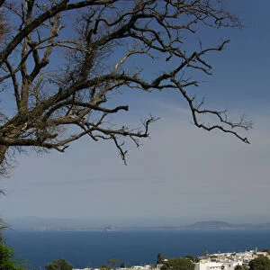 ITALY-Campania-(Bay of Naples)-CAPRI-ANACAPRI: View of Anacapri Town from Belvedere
