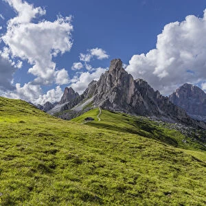 Italy, Dolomites, Giau Pass. Mountain meadow