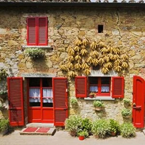 Italy, Lucignano, Red Shutters and Harvest Corn on House Lucignano
