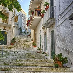 Italy, Puglia, Brindisi, Itria Valley, Ostuni. Stairway leading up in the old town of Ostuni