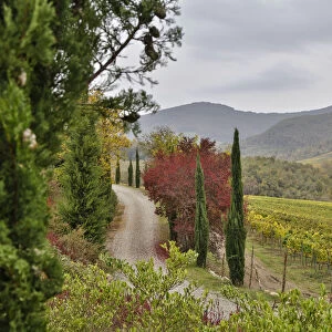 Italy, Radda in Chianti, Tuscany, A Path to the Hills, Villa Campomaggio
