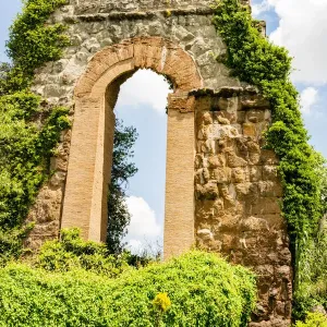 Italy, Rome. Parco Regionale dell Appia, Antica, Park of the Aqueducts
