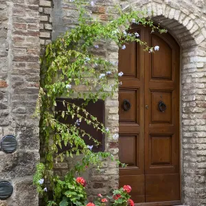 Italy, Tuscany, San Gimignano. Homes decorated with flower pots along the streets of San Gimignano