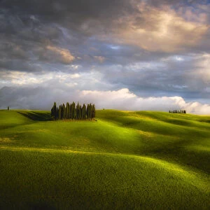 Italy, Tuscany, Val d Orcia. Cypress grove and clouds at sunset