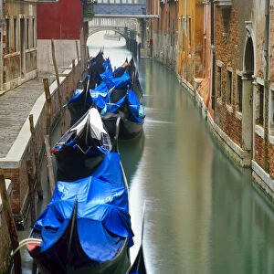 Italy, Venice. Gondolas moored in canal. Credit as: Jim Nilsen / Jaynes Gallery / DanitaDelimont