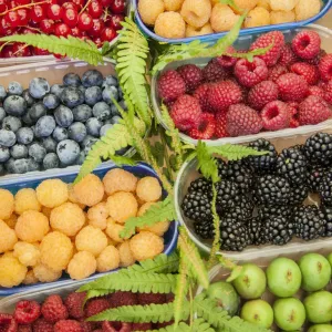 Italy, Venice. A variety of berries on display and for sale in the Rialto Market