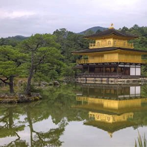 Japan, Kyoto. Temple of the Golden Pavilion reflects in pond