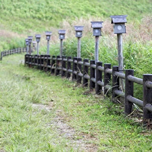 Japan, Nara Prefecture, Soni Plateau. Wooden lanterns along a fence