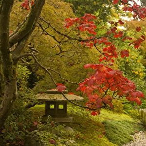 Japanese Garden, Washinton Park, Autumn Colors, Seattle, Washington State, USA