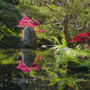 Japanese Tea Garden, Golden Gate Park, San Francisco, California, USA