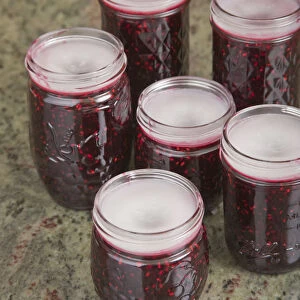 Jars of blackberry jam with the household wax (paraffin) mostly solidified on top to act as a seal