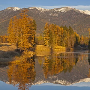 Jessup Mill Pond in autumn with snow capped Swan Mountains near Creston, Montana, USA