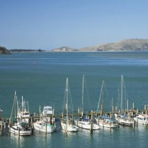 Jetty, Careys Bay, Otago Harbour, Dunedin, South Island, New Zealand