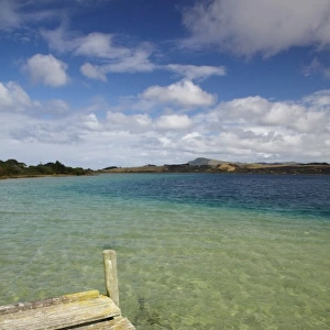 Jetty, Lake Taharoa, Kai Iwi Lakes, Northland, North Island, New Zealand