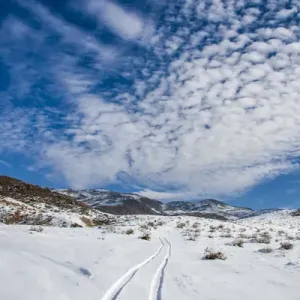 Johnson Valley with snow, California Johnson Valley with snow, California