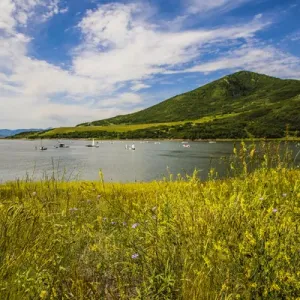 Jordanelle State Park, Utah. Field of wildflowers and boats on a lake