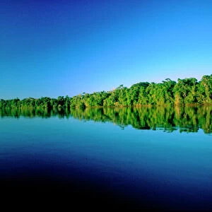 Juruena, Brazil. Forested river bank reflected in the water with no clouds in the sky