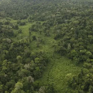 Kanaku Mountains Savanna Rurununi GUYANA South America Kanaku Mountains Savanna Rurununi GUYANA South America
