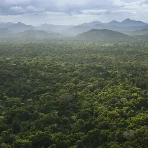 Kanaku Mountains Savanna Rurununi GUYANA South America Kanaku Mountains Savanna Rurununi GUYANA South America