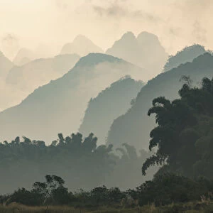 Karst formations and bamboo trees silhouetted in morning mist, Li River at sunrise