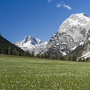 The Karwendel Mountain Range near Gramai in valley Falzthurntal during spring close