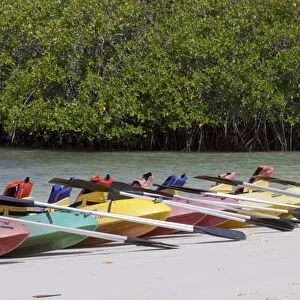 Kayaks at Tortuga Bay, Santa Cruz Island, Galapagos Islands