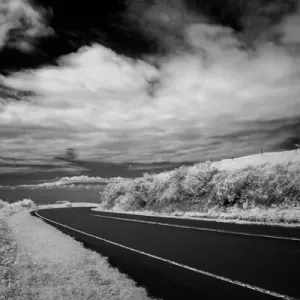 kohala mountain road, The Big Island, Hawaii, USA kohala mountain road, The Big Island, Hawaii, USA