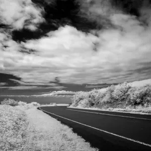 Kohala mountain road disappears in the distance, The Big Island, Hawaii, USA Kohala mountain road disappears in the distance, The Big Island, Hawaii, USA