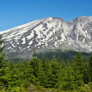 Lahar Area, south side of Mount St. Helens National Volcanic Monument, Washington State, USA Lahar Area, south side of Mount St. Helens National Volcanic Monument, Washington State, USA