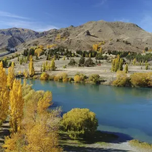 Lake Aviemore Print: Autumn Landscape, Waitaki Valley, New Zealand Lake Aviemore Print: Autumn Landscape, Waitaki Valley, New Zealand