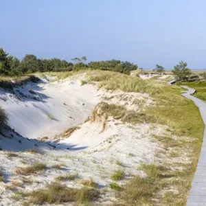 Landscape with coastal dunes at Darsser Ort on the Darss Peninsula Landscape with coastal dunes at Darsser Ort on the Darss Peninsula